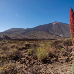 I 7 posti più belli da vedere a Tenerife