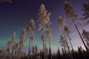 Lapponia Finlandese – Tra Neve, Natura e Aurora Boreale