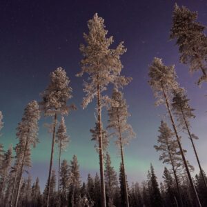 Lapponia Finlandese – Tra Neve, Natura e Aurora Boreale