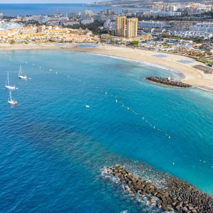 Dorado Top Las Americas (12)