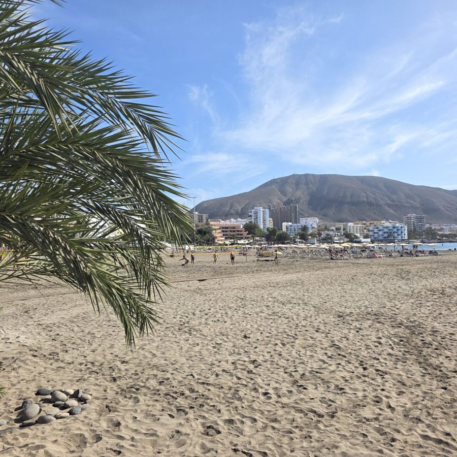 Dulce Apartment Los Cristianos (17)