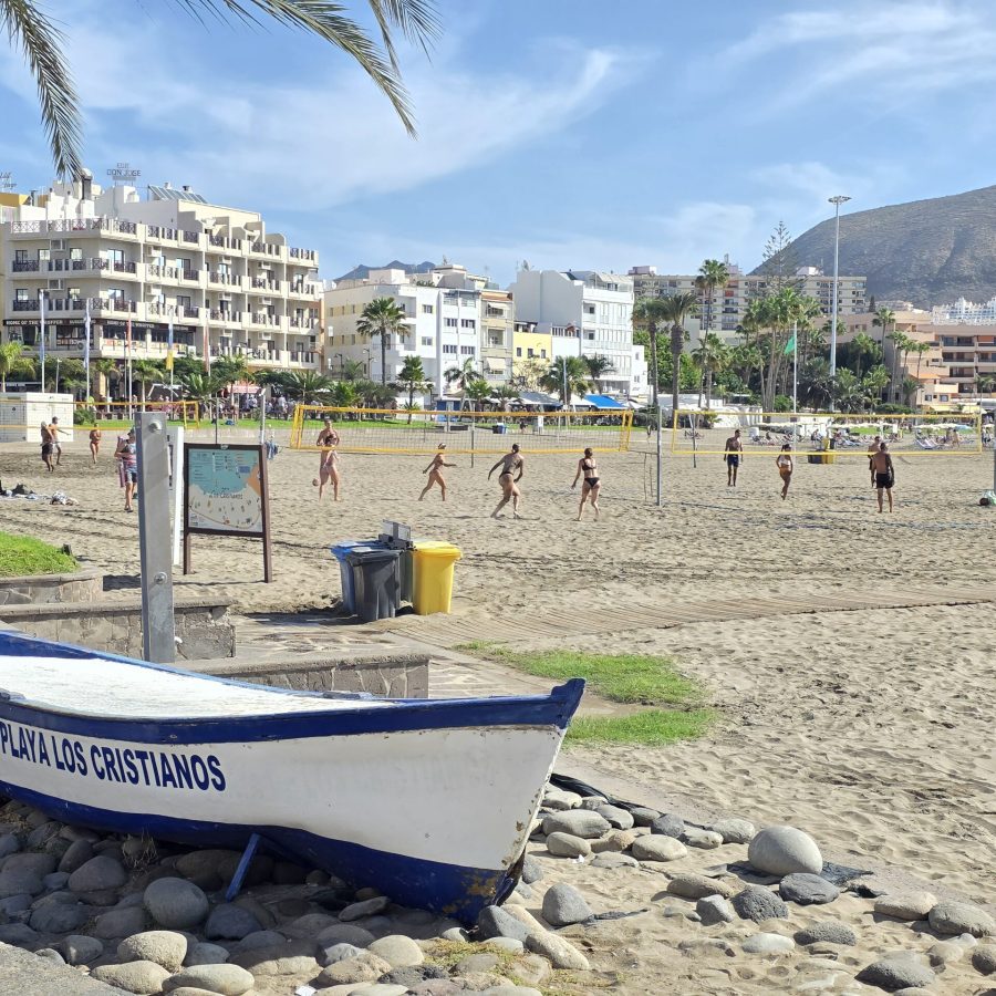 Dulce Apartment Los Cristianos (18)