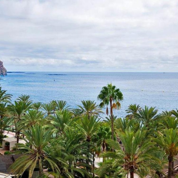 Guayero Los Cristianos Sea View (10)