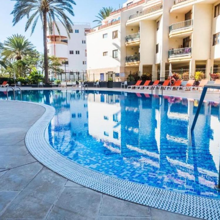 Guayero Los Cristianos Sea View (15)