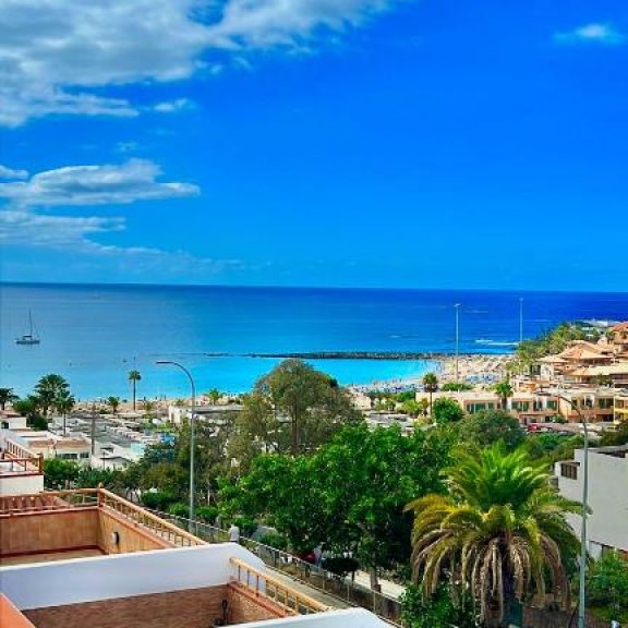 Las Vistas Dream (13)