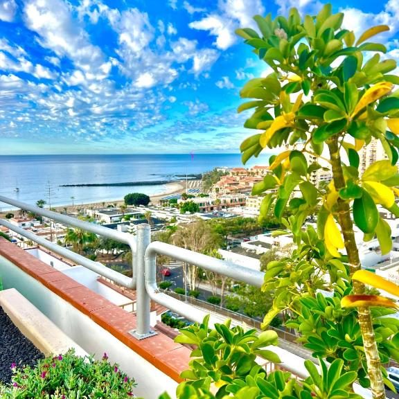 Las Vistas Dream (28)