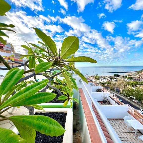 Las Vistas Dream (30)